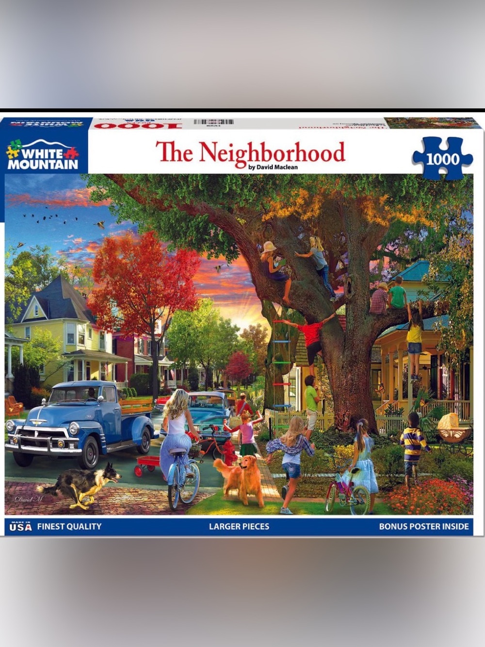 White Mountain The Neighborhood Puzzle 1000